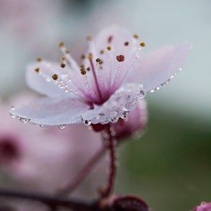 Meet your Posher, Mari